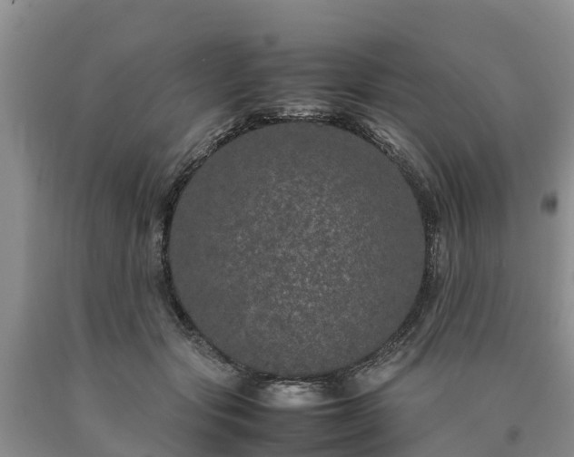 X0000090620557200707241132
