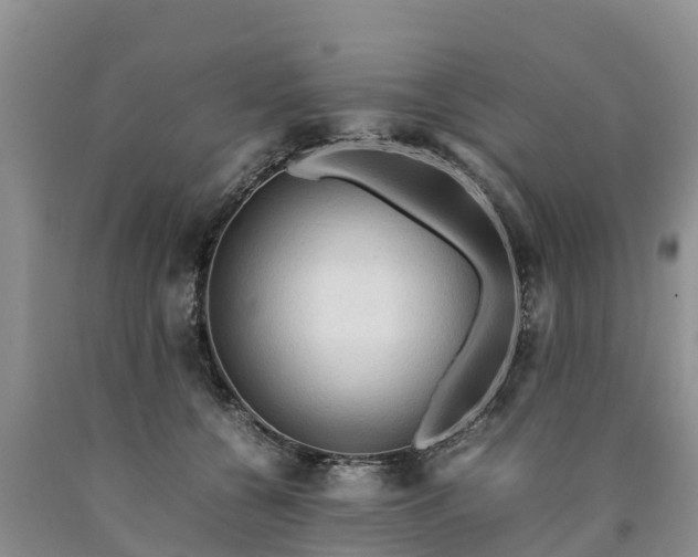 X0000090620560200707241132