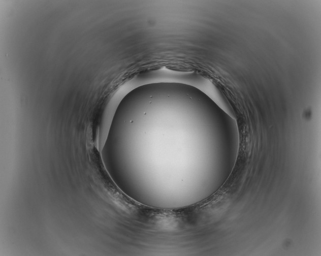 X0000090620562200707241132