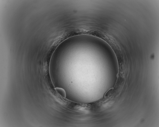 X0000090620563200707241132