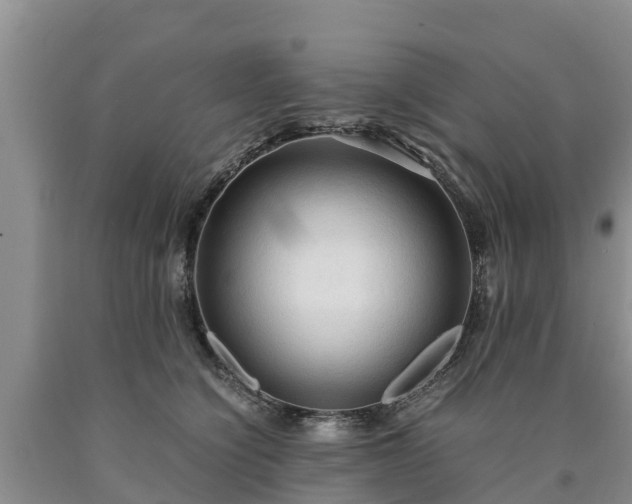 X0000090620564200707241132