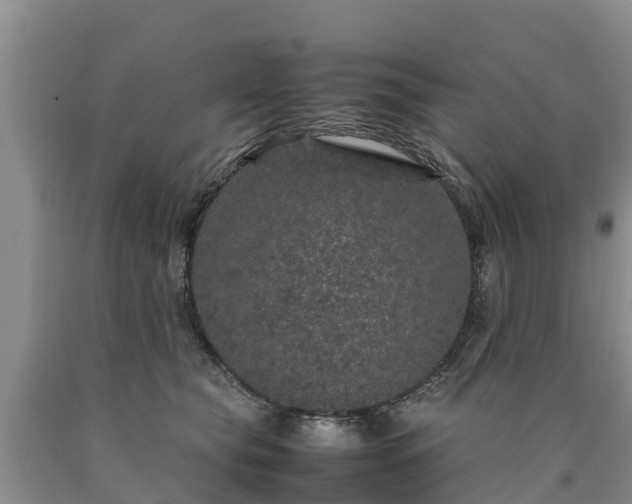 X0000090620565200707241132