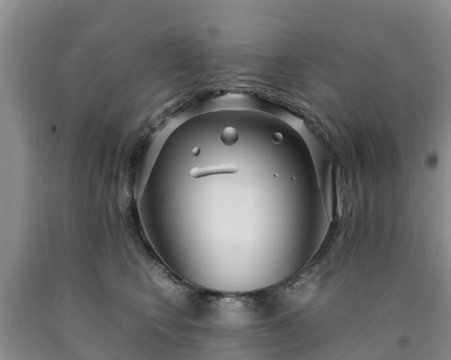 X0000090620566200707241132