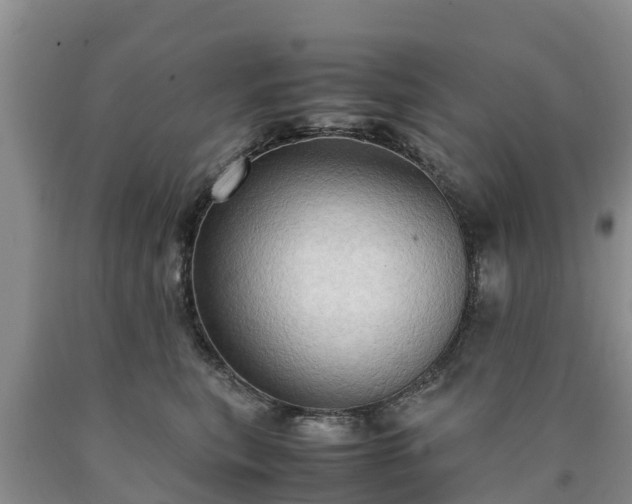 X0000090620567200707241132