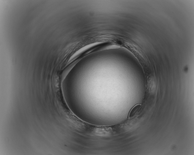 X0000090620571200707241132