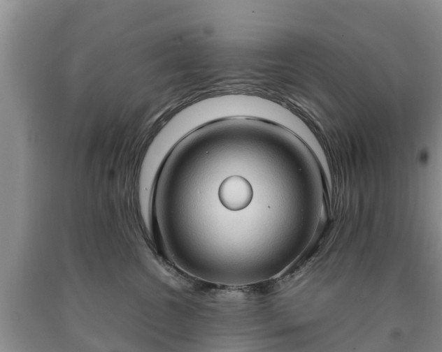 X0000090620572200707241132