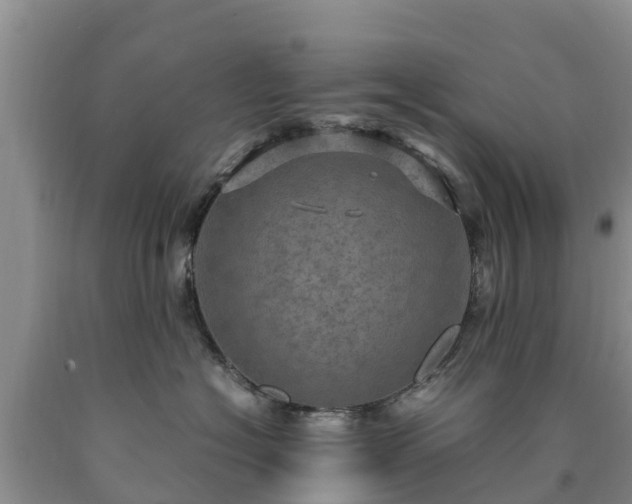 X0000090620574200707241132