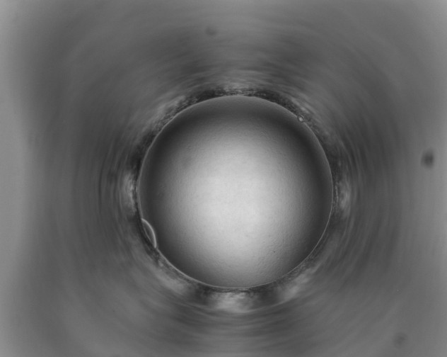 X0000090620575200707241132