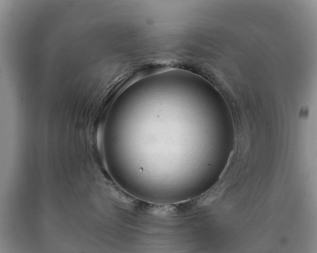 X0000090620576200707241132
