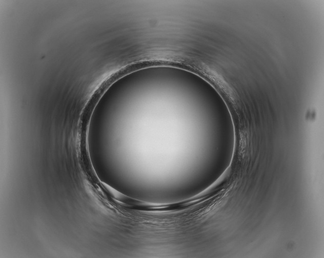 X0000090620580200707241131
