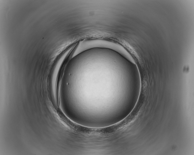 X0000090620581200707241131