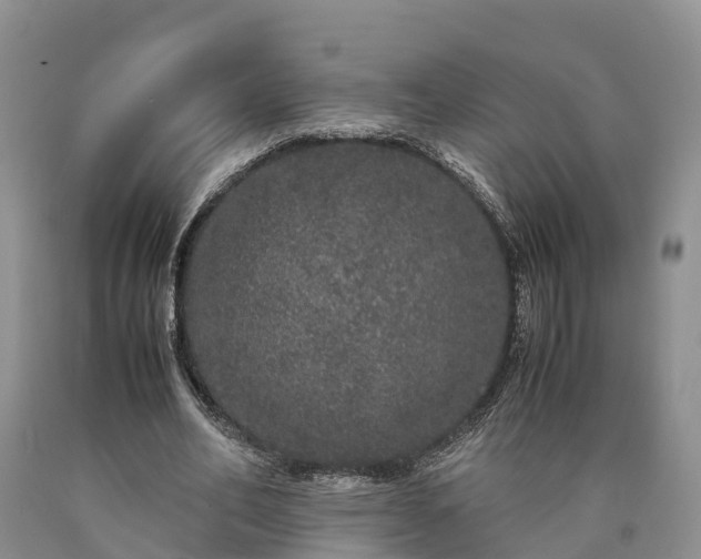 X0000090620582200707241131