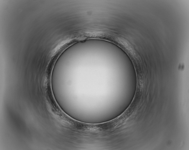 X0000090620583200707241131