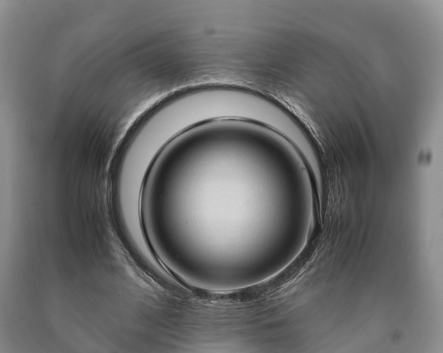 X0000090620584200707241131