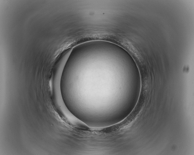 X0000090620585200707241131