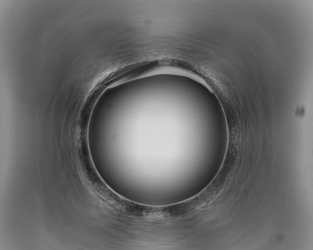 X0000090620587200707241131