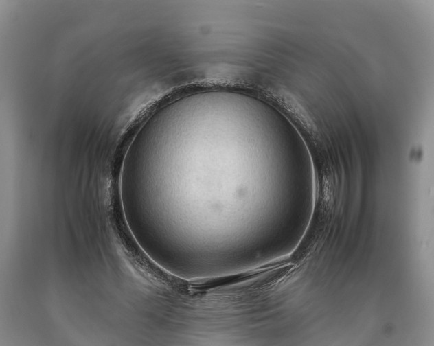 X0000090620588200707241131