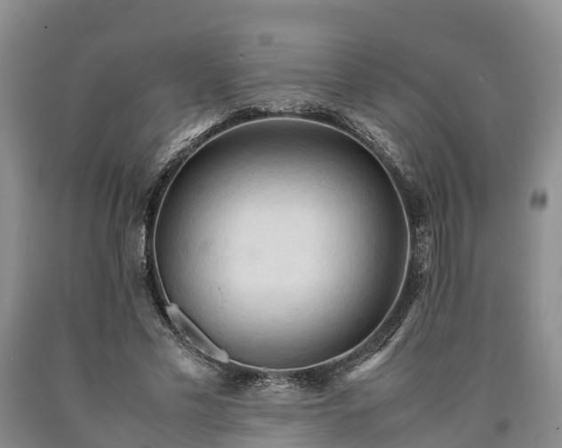 X0000090620589200707241131