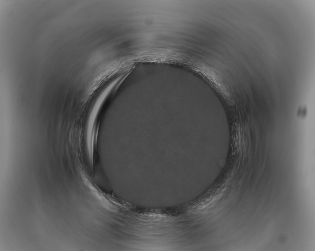X0000090620590200707241131