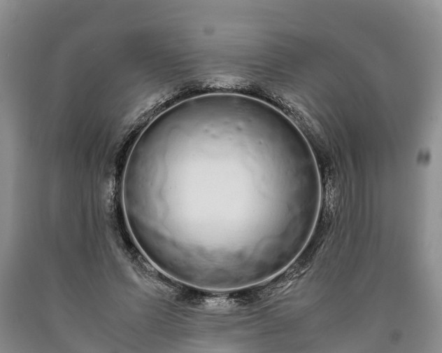 X0000090620591200707241131