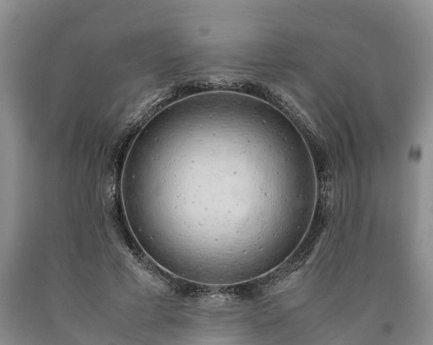 X0000090620593200707241131