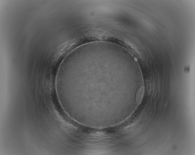 X0000090620594200707241131