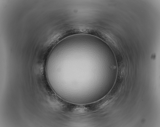 X0000090620595200707241131
