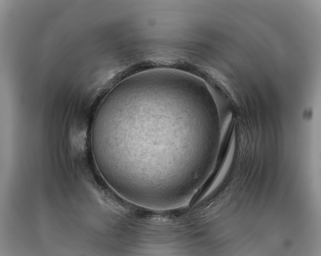 X0000090620596200707241131