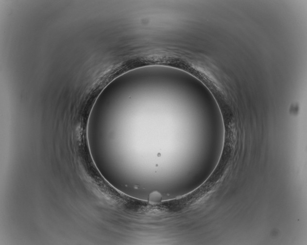 X0000090620597200707241131