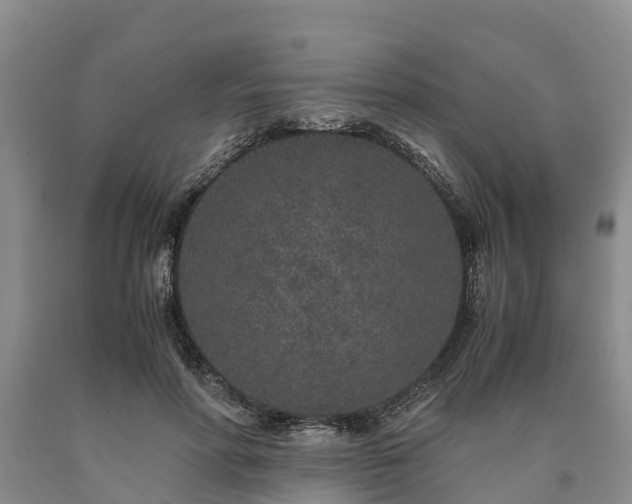 X0000090620598200707241131