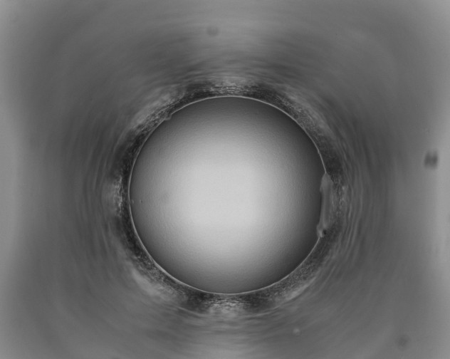 X0000090620599200707241131