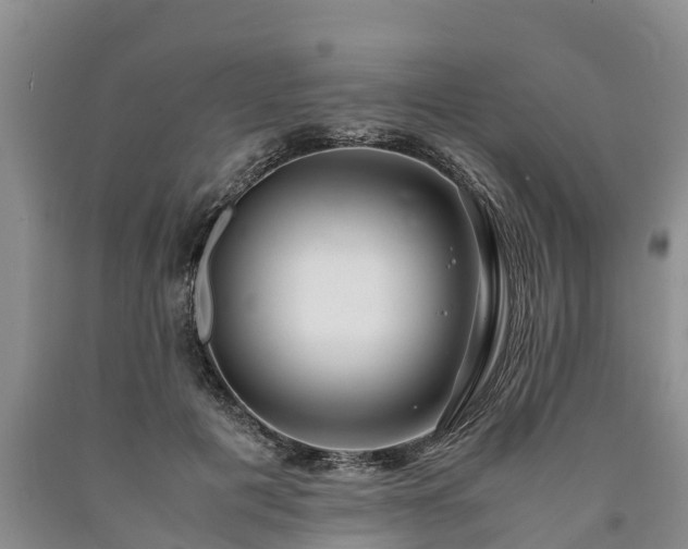 X0000090620601200707241131