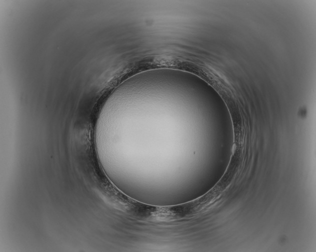 X0000090620603200707241131