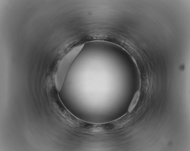 X0000090620604200707241131