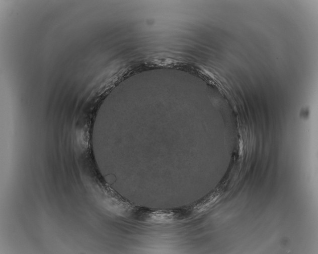 X0000090620606200707241131