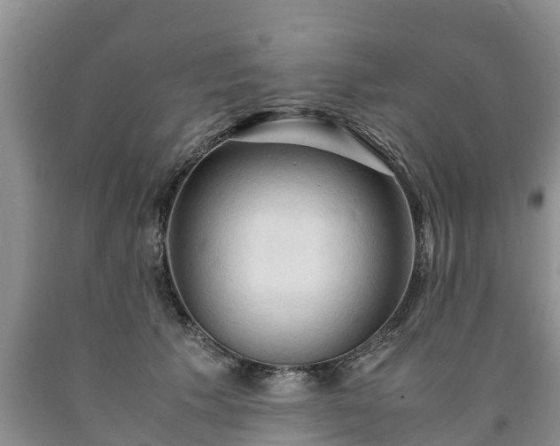 X0000090620609200707241131