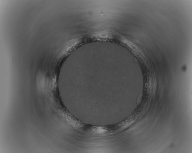 X0000090620610200707241131