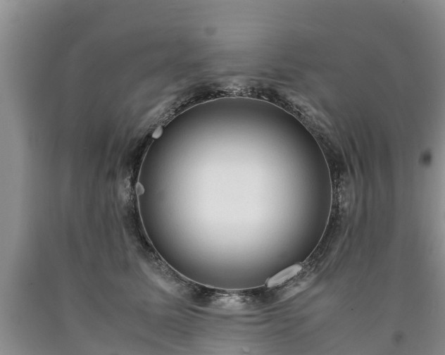 X0000090620611200707241131