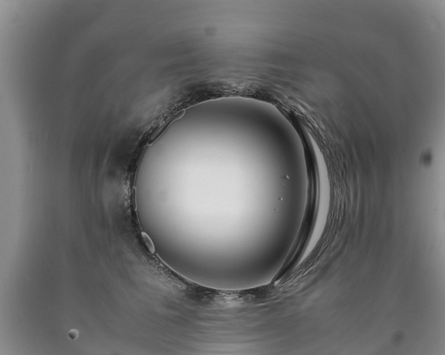 X0000090620613200707241131