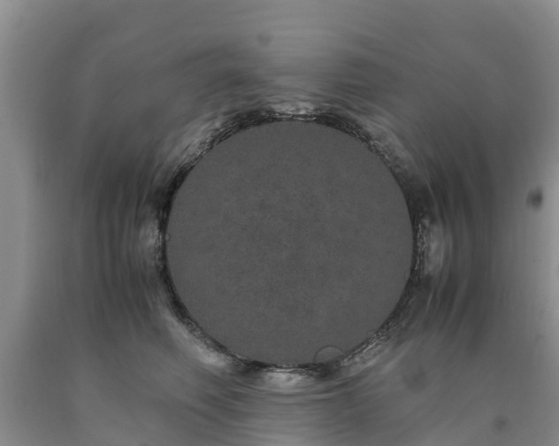 X0000090620614200707241131
