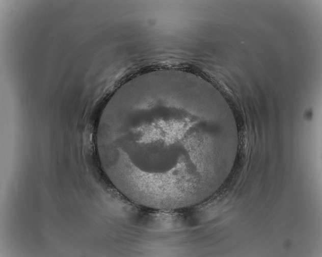 X0000090620615200707241131