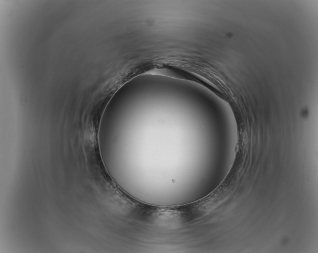 X0000090620617200707241131