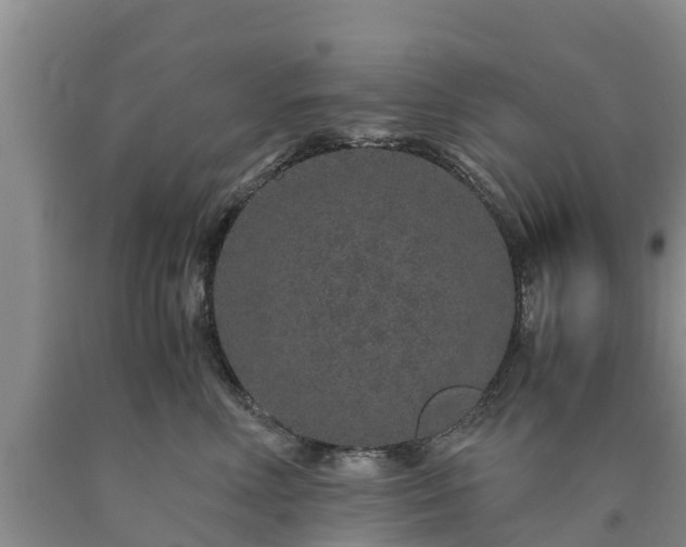 X0000090620618200707241131