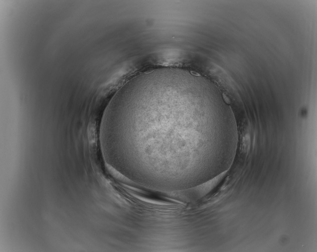 X0000090620620200707241131