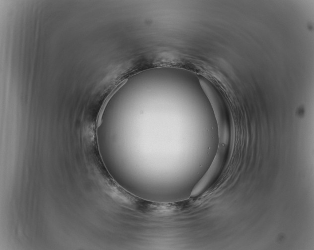X0000090620621200707241131