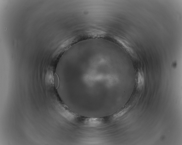 X0000090620622200707241131