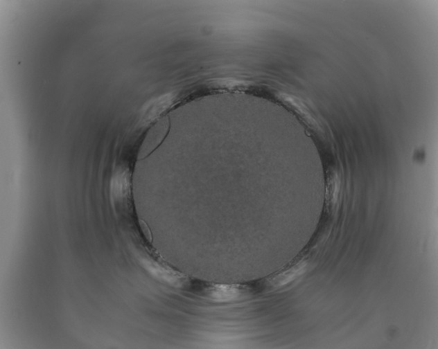 X0000090620623200707241131