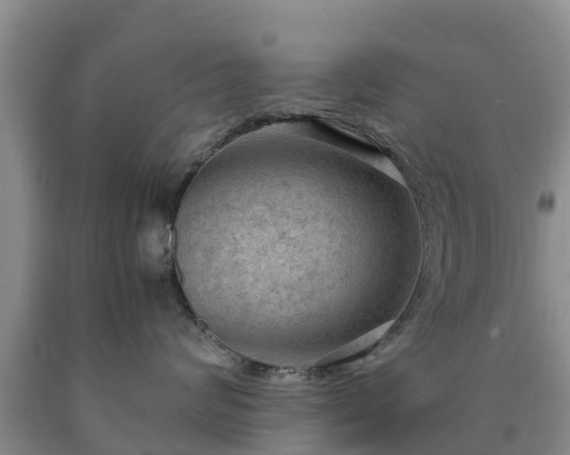 X0000090620624200707241131