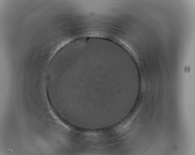 X0000090620625200707241130