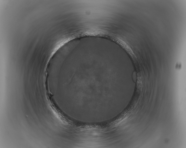 X0000090620626200707241130